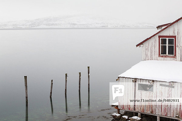 Hütte am See  Kvalsundet  Ringvassoya  Tromvik  Troms  Norwegen  Europa