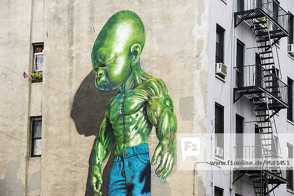 Street Art,  bemalte Hauswand,  SoHo,  Manhattan,  New York,  USA,  Nordamerika