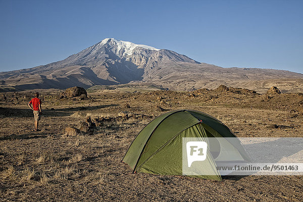 Zelten am Berg Ararat  Agri Dagi  Ostanatolien  Türkei  Asien