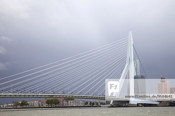 Erasmusbrücke  Erasmusbrug  am Fluss Nieuwe Maas  Rotterdam  Holland  Niederlande  Europa