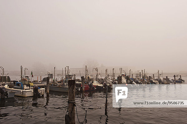 Fischerboote im Fischereihafen von Goro  Delta del Po  Po-Delta  Provinz Ferrara  Emilia Romagna  Italien  Europa