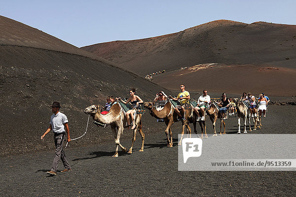 Camelback riding for tourists  camels  dromedaries in the Timanfaya National Park  Fire Mountains  volcanic landscape  Lanzarote  Canary Islands  Spain  Europe