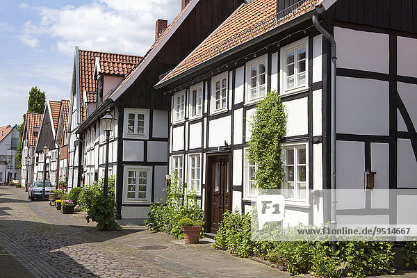 Fachwerkhäuser in der Altstadt  Rheda-Wiedenbrück  Nordrhein-Westfalen  Deutschland  Europa