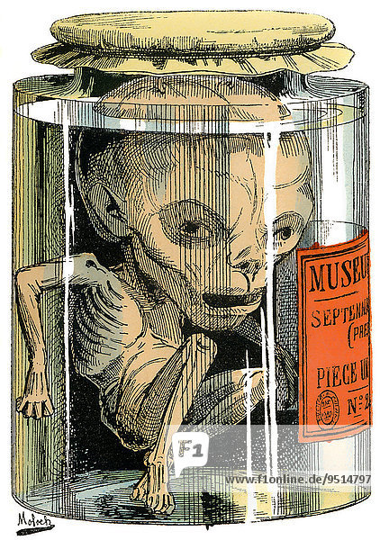 Amtszeit in Frankreich 1873 personifiziert als Désiré-Noem-Fortuné Septennat I politische Karikatur 1882 von Alphonse Hector Colomb Pseudonym B. Moloch französischer Karikaturist