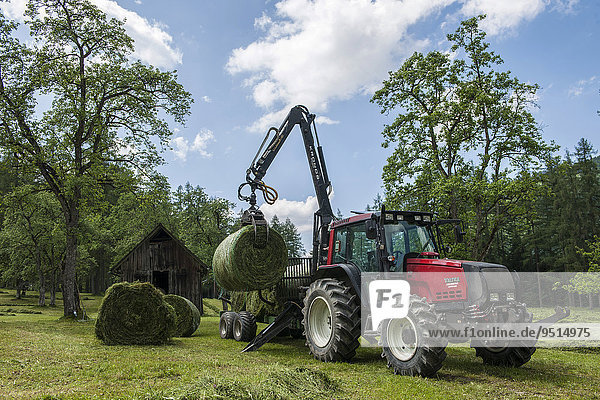 Tractor making hay  hay harvest  Upper Austria  Austria  Europe