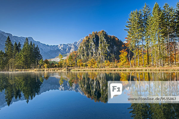 Almsee lake  Bäume mit Spiegelung im Herbst  Ameisstein  Totes Gebirge  Grünau  Almtal  Salzkammergut  Oberösterreich  Österreich  Europa