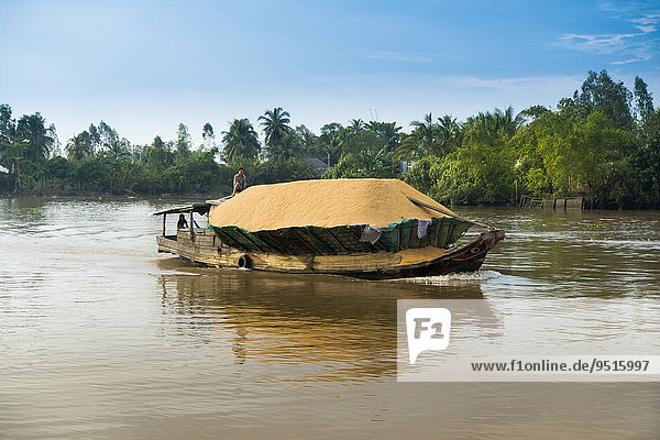 Traditional freighter loaded with rice on the Mekong  Nam Bo  Can Tho  Mekong Delta  Vietnam  Asia