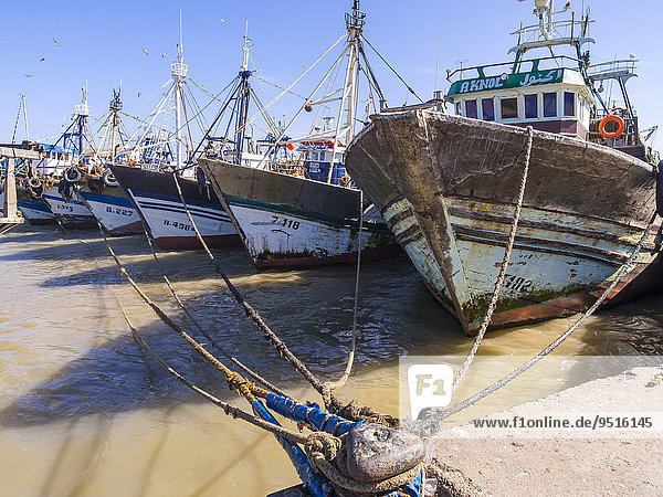Fischkutter im Hafen von Essaouira  Unesco-Weltkulturerbe  Marokko  Afrika