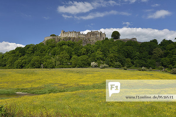Stirling Castle  Stirling  Schottland  Großbritannien  Europa
