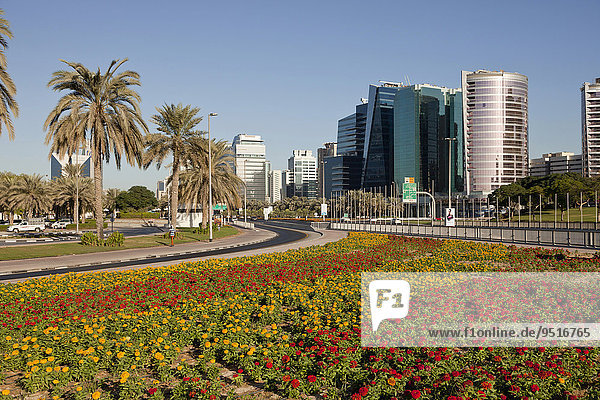 Buntes Blumenbeet und Hochhäuser  Dubai  Emirat Dubai  Vereinigte Arabische Emirate  Asien
