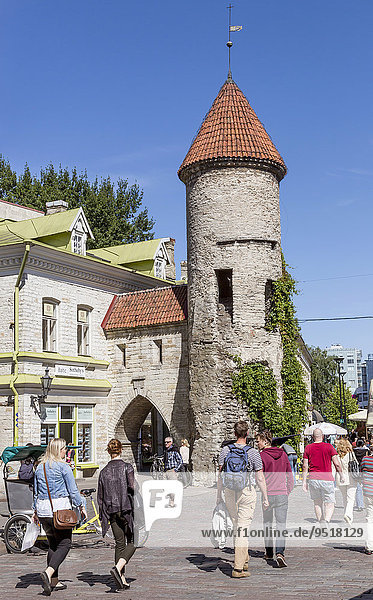 Viru-Tor mit Stadtmauer in der Altstadt  Tallinn  Estland  Europa