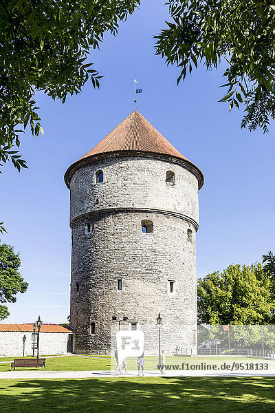 Turm Kiek in de Kök auf dem Domberg  Stadtmauer  Oberstadt  Altstadt  Tallinn  Estland  Europa