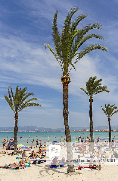 Playa de Palma,  Bucht von Palma,  Mallorca,  Balearen,  Spanien,  Europa