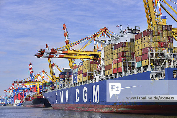 Container ship and gantry cranes  Stromkaje quay  Wilhelm Kaisen Terminal  Container Terminal Bremerhaven  Bremerhaven  Bremen  Germany  Europe