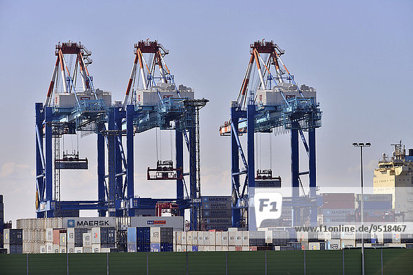 Wilhelm Kaisen Terminal  Container Terminal Bremerhaven  Bremerhaven  Bremen  Germany  Europe