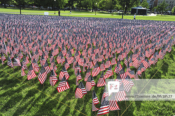 Memorial Day  temporary installation in the Boston Common in honor of the Fallen since the Civil War  Boston  Massachusetts  United States  North America