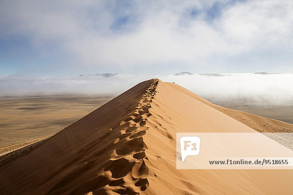 Düne 45 mit Morgennebel  Sanddünen  Sossusvlei  Namib-Wüste  Namibia  Afrika