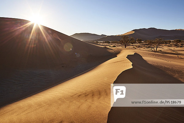 Sanddünen  Sossusvlei  Namib-Wüste  Namibia  Afrika