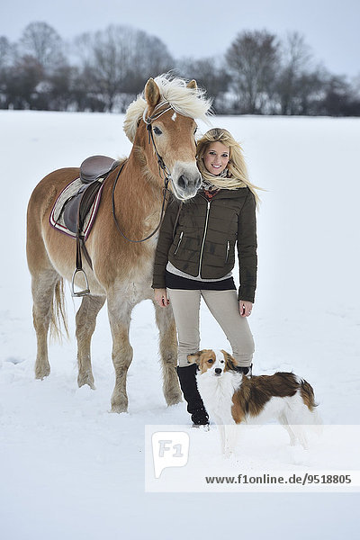 Young woman with Haflinger horse in snow