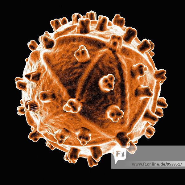 HIV Human Immunodeficiency Virus Kunstwerk