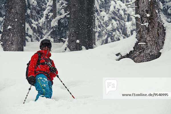 Skifahrer Wald