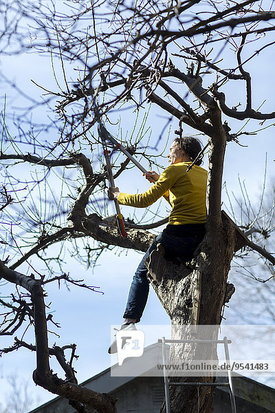 Frau schneiden Baum Ast