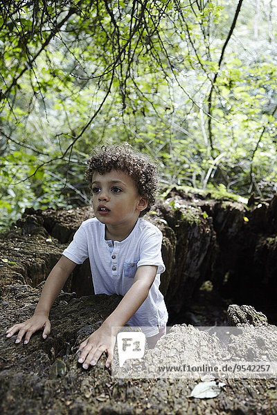 Boy in hole in forest