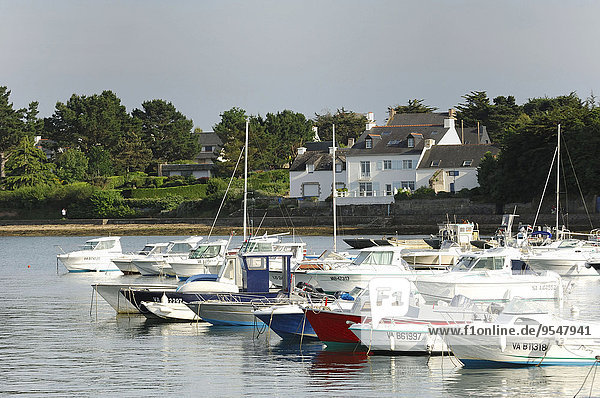Sarzeau (Brittany  western France): boats in Gulf of Morbihan