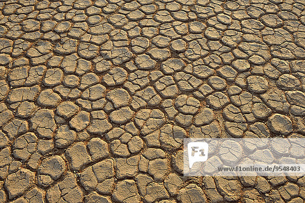 Afrika  Namibia  Sossusvlei  Dead Vlei  gebrochene Oberfläche einer Salz- und Tonpfanne