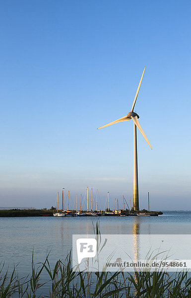 Niederlande  Waterland  Windkraftanlage am Ijsselmeer