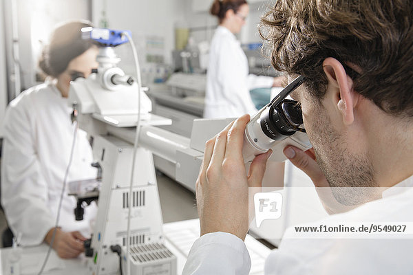 Scientists working in laboratory  microscope