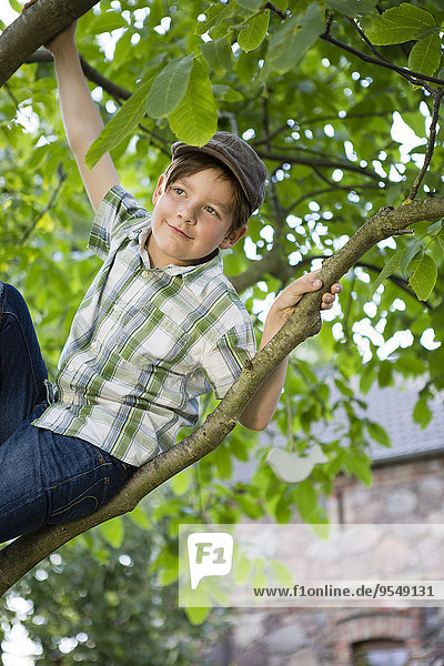 Porträt eines kleinen Jungen beim Klettern in einem Baum