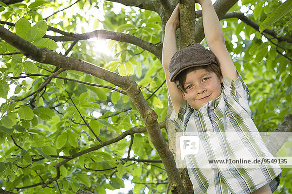 Porträt eines kleinen Jungen beim Klettern in einem Baum