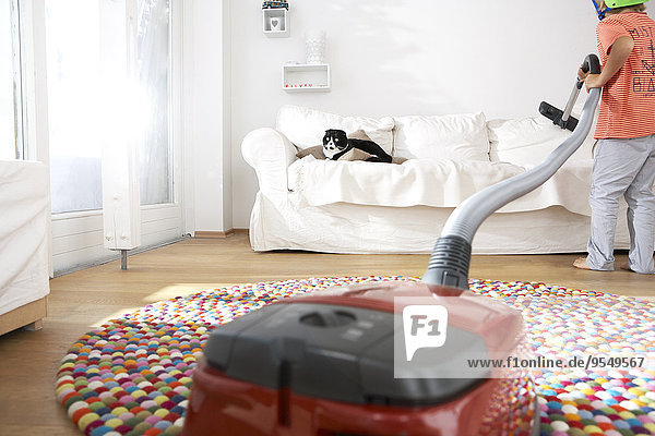 Boy in living room hoovering the sofa with cat