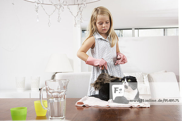 Mädchen zu Hause Reinigung Katze auf Esstisch