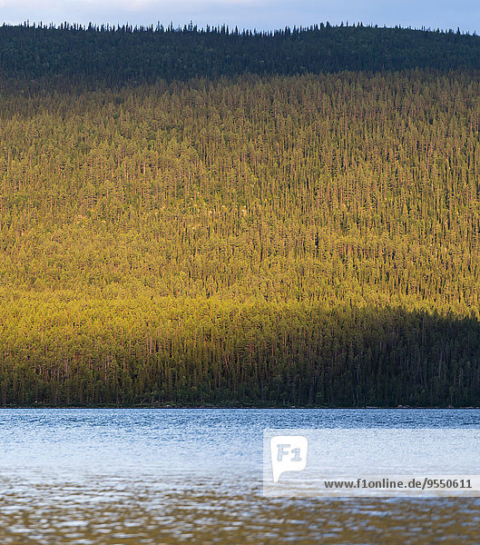 Schweden  Lappland  Norrbotten County  Kvikkjokk  See Saggat mit dichtem Wald