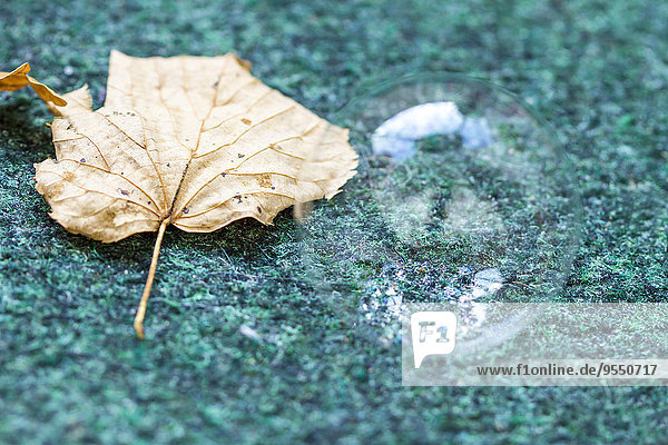 Herbstblatt und Seifenblase auf einem Teppich