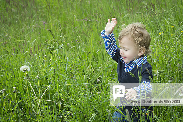 Kleinkind beim Spaziergang auf der Sommerwiese