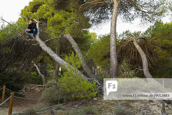 Spanien,  Balearen,  Mallorca,  ein Teenager im Baum sitzend