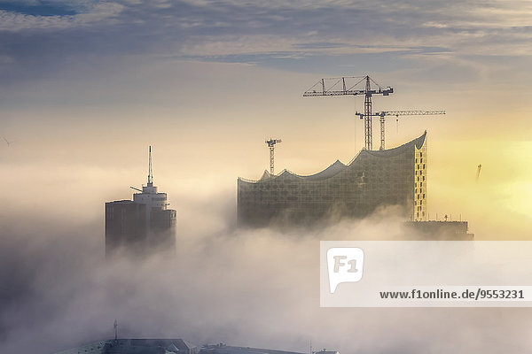 Deutschland  Hamburg  Luftbild der Elbphilharmonie bei dichtem Nebel