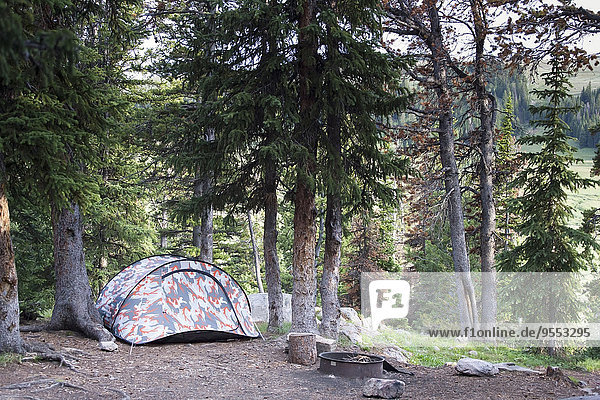 USA  Montana  Zelt aus Holz