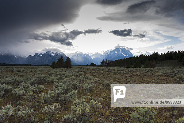 USA  Wyoming  Grand Teton Nationalpark