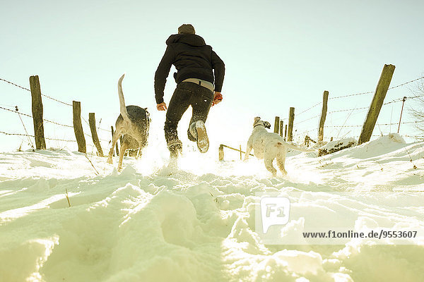 Deutschland,  Bergisches Land,  Mann läuft mit Hunden in Winterlandschaft