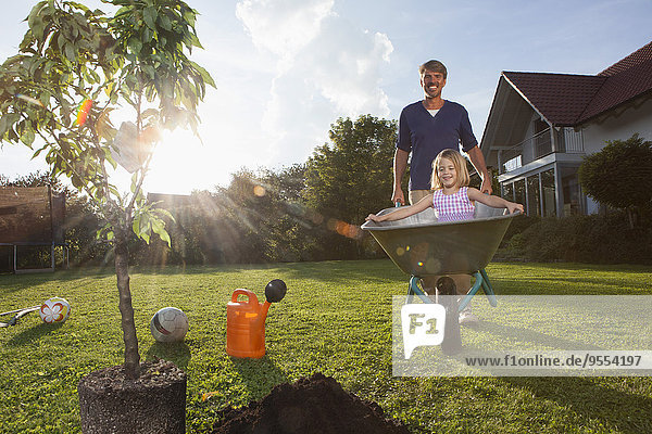 Vater mit Tochter in Schubkarre pflanzt Baum im Garten