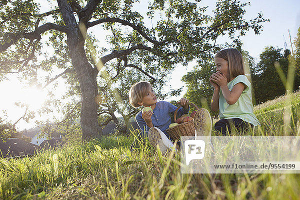 Boy and girl eating apples in meadow