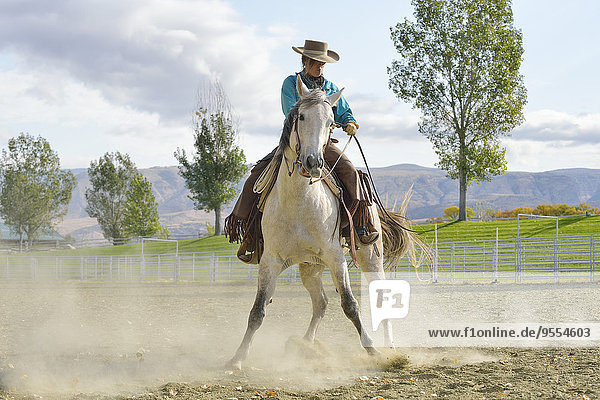 USA  Wyoming  Cowgirl bei der Arbeit mit dem Pferd