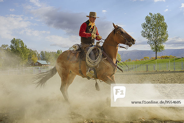 USA  Wyoming  Cowboy working with horse