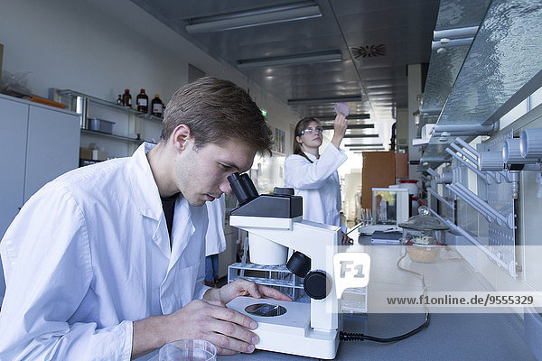 Junge Chemiker  die in einem chemischen Labor arbeiten