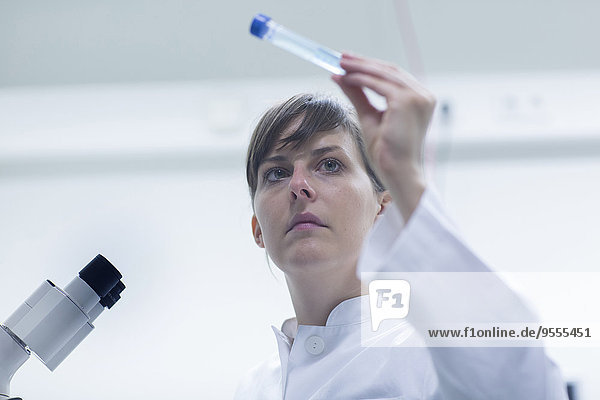 Porträt einer jungen Naturwissenschaftlerin  die im Labor arbeitet