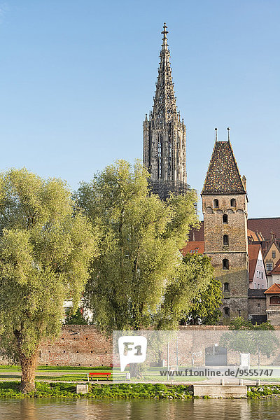Deutschland  Baden-Württemberg  Ulm  Münster und Metzgerturm an der Donau